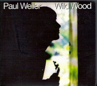 Paul Weller / Wild Woodβ