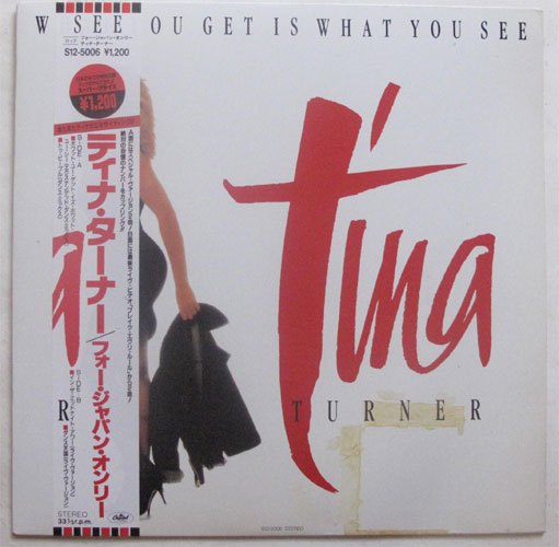 Tina Turner / See You Get Is What You See ( ٥븫 )β