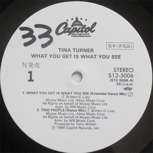 Tina Turner / See You Get Is What You See ( ٥븫 )β