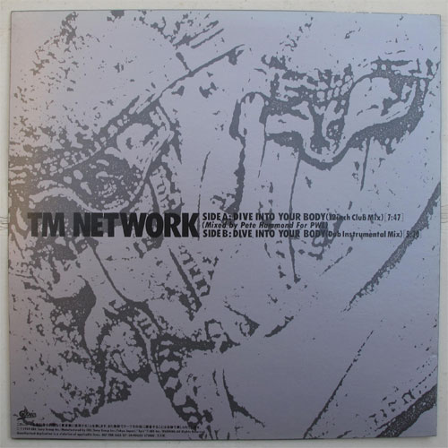 TM NETWORK /DIVE INTO YOUR BODYβ
