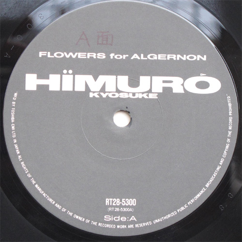 ɹ / Flowers For Algernonβ