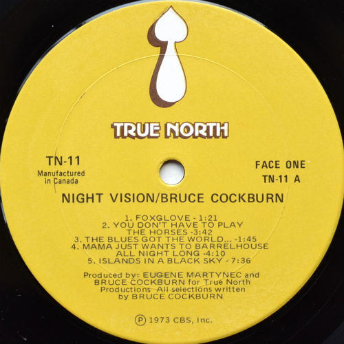 Bruce Cockburn / Night Vision (Canada)β