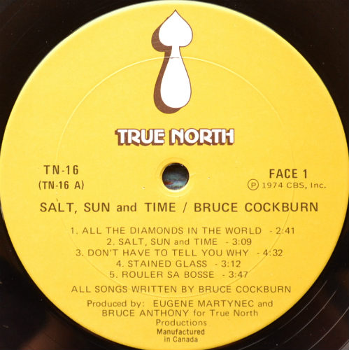 Bruce Cockburn / Salt, Sun and Time (Canada)β