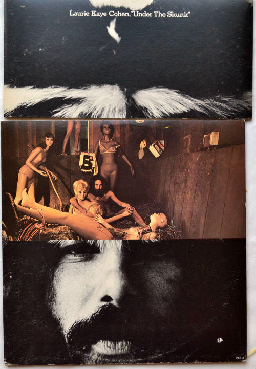 Laurie Kaye Cohen / Under The Skunk (Promo w/Press sheet)β
