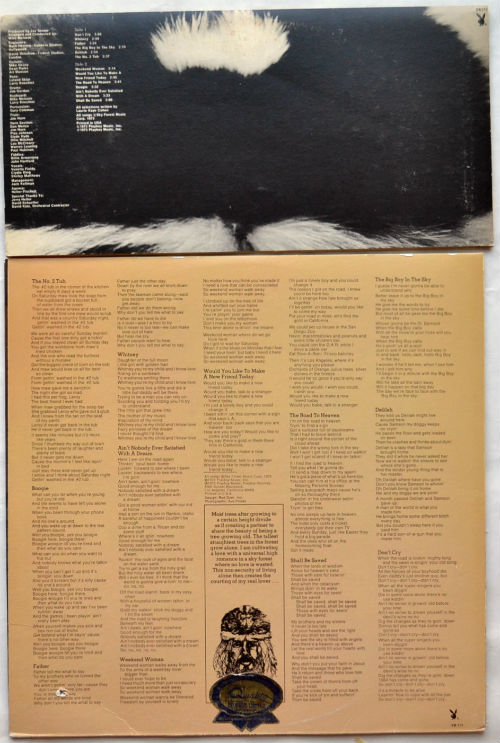 Laurie Kaye Cohen / Under The Skunk (Promo w/Press sheet)β