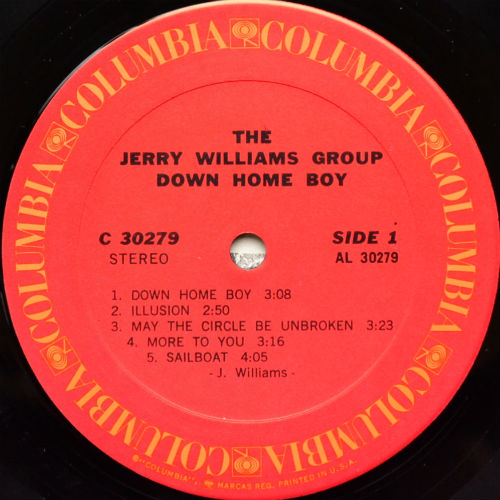 Jerry Williams Group, The / Down Home Boyβ