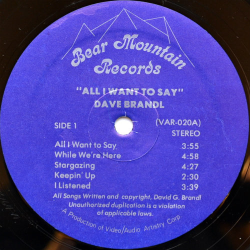 Dave Brandl / All I Want To Sayβ
