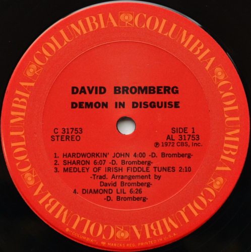 David Bromberg / Demon In Disguiseβ
