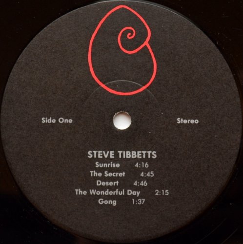 Steve Tibbetts / Steve Tibbettsβ