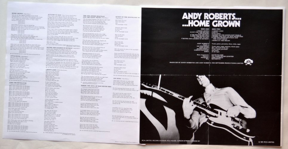 Andy Roberts / Home Grown (UK RCA Matrix-1)β