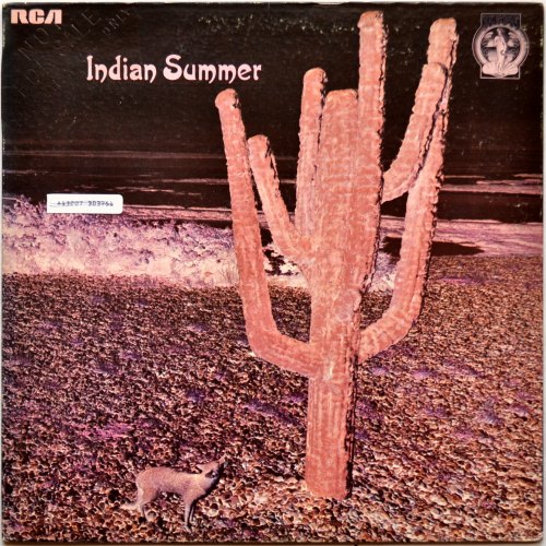 Indian Summer / Indian Summer (US Promo)β