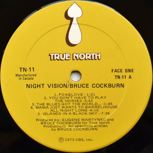Bruce Cockburn / Night Vision (Canada)β