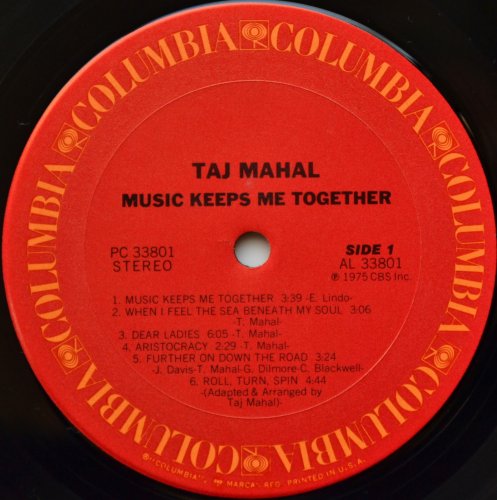 Taj Mahal / Music Keeps Me Togetherβ