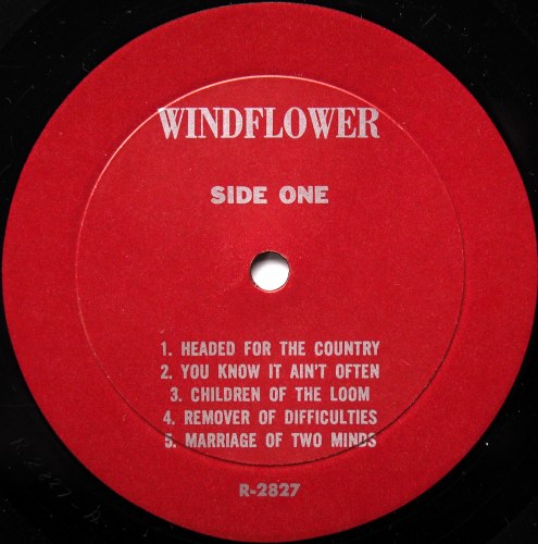 Windflower / Windfloweβ
