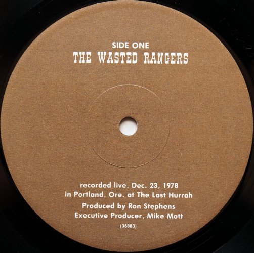 Wasted Rangers, The / The Wasted Rangers (2LP Live)β