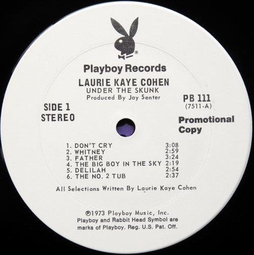 Laurie Kaye Cohen / Under The Skunk (White Label Promo w/Press sheet)β