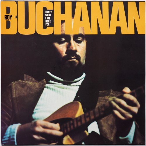 Roy Buchanan / That's What I Am Here Forβ