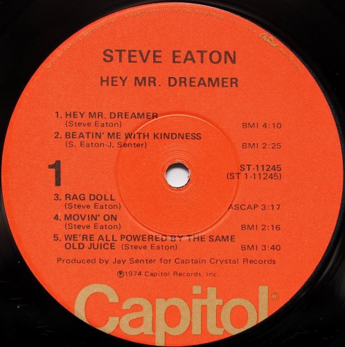 Steve Eaton / Hey Mr. Dreamer (In Shrink)β