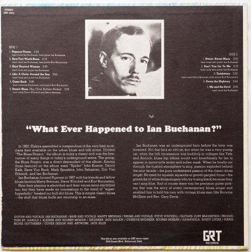 Pigmeat Blues Band, The / What Ever Happened To Ian Buchananβ