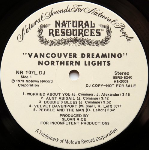 Northern Lights / Vancouver Dreaming (White Label Promo)β