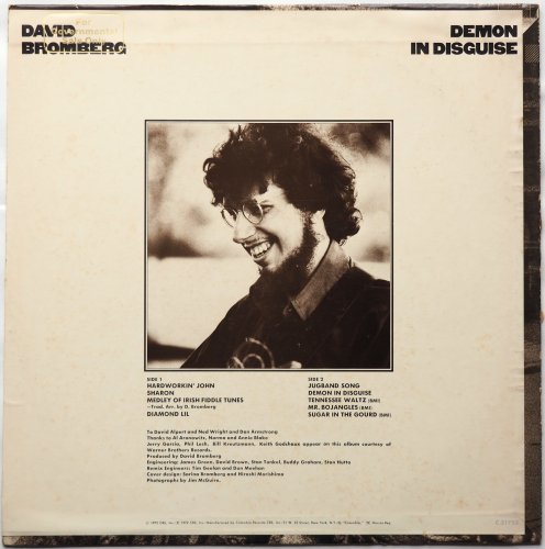 David Bromberg / Demon In Disguiseの画像