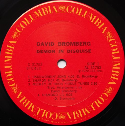 David Bromberg / Demon In Disguiseの画像