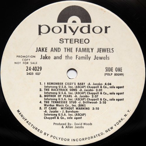 Jake And The Family Jewels / Jake And The Family Jewels  (US White Label Promo)β