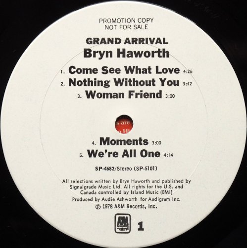 Bryn Haworth / Grand Arrival (US White Label Promo)β