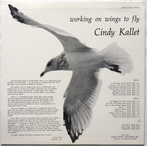Cindy Kallet / Working On Wings To Flyβ