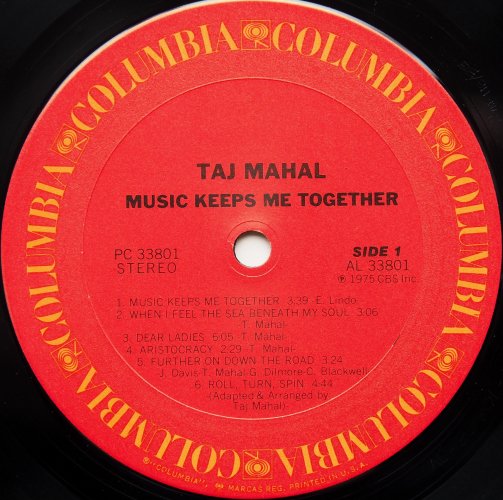 Taj Mahal / Music Keeps Me Togetherβ