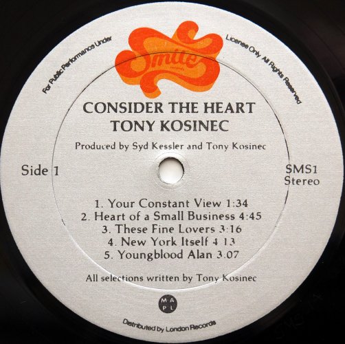 Tony Kosinec / Consider The Heartβ