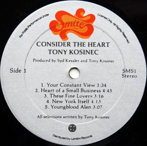 Tony Kosinec / Consider The Heartβ