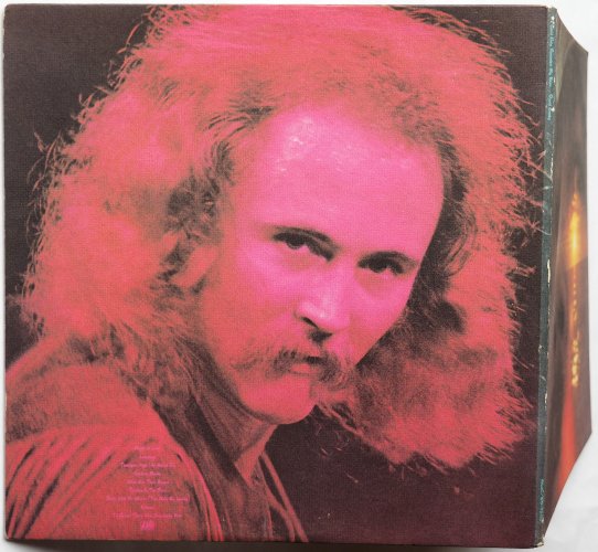David Crosby / If I Could Only Remember My Name (US)β