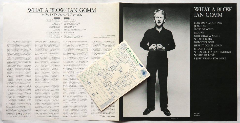 Ian Gomm / What A Blow β