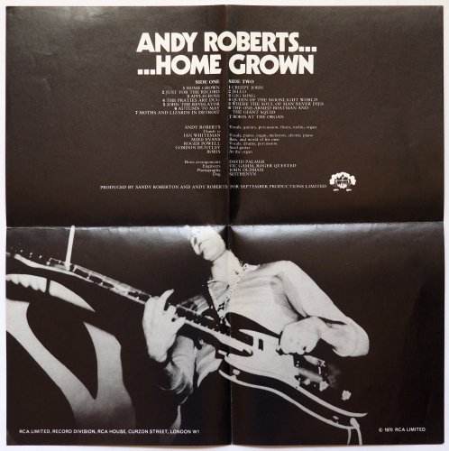 Andy Roberts / Home Grown (UK RCA Matrix-1 w/Insert)β