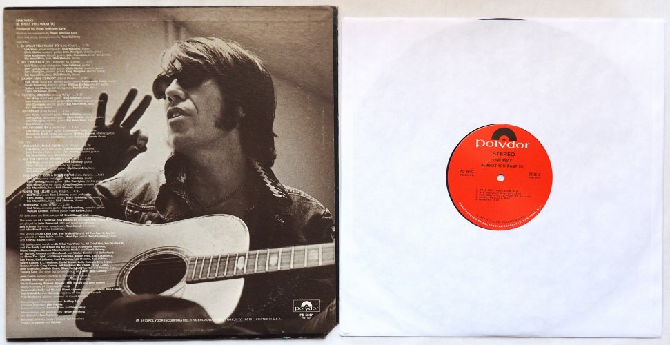 Link Wray / Be What You Want To (US)β