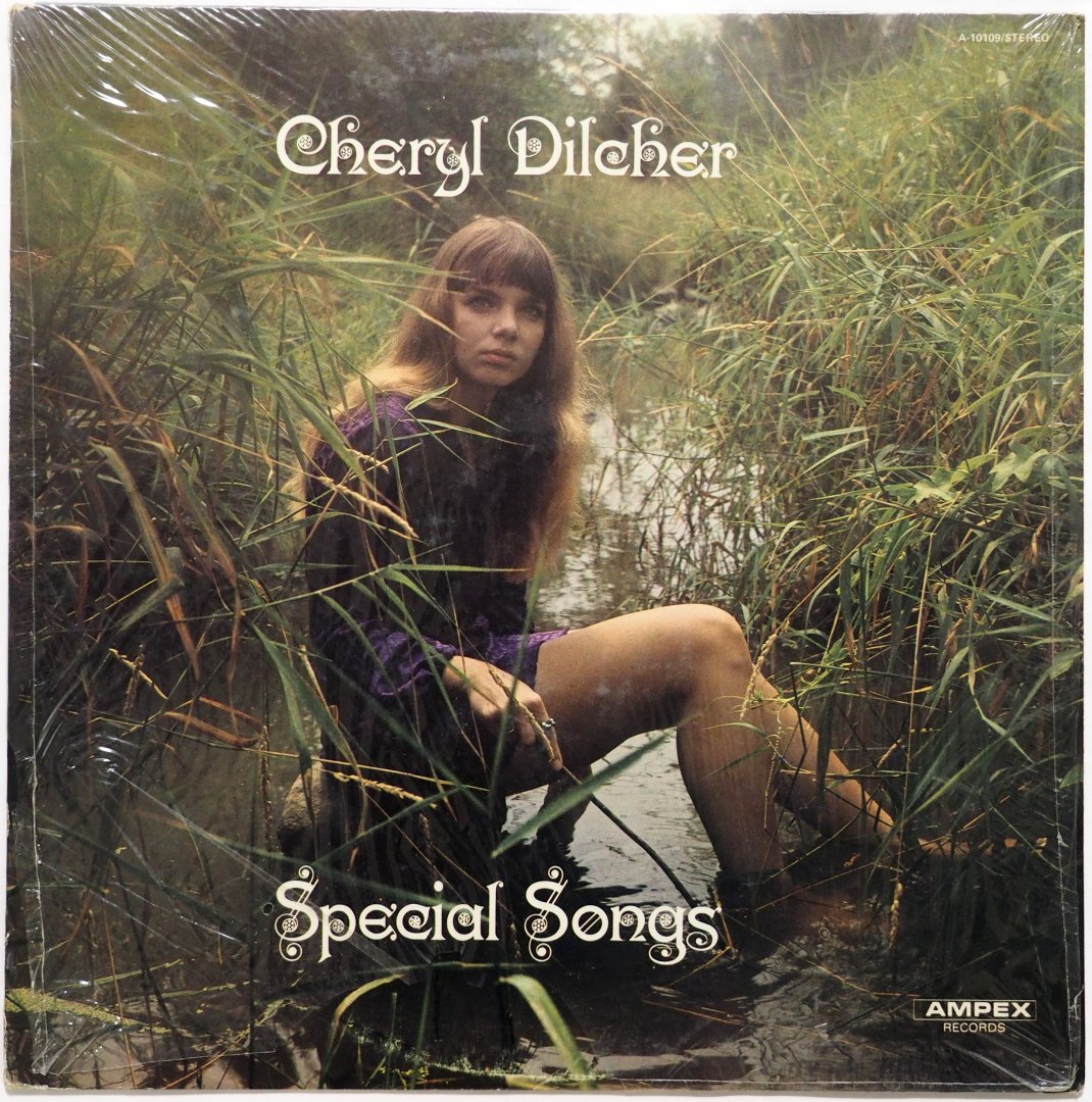 Cheryl Dilcher / Special Songs (In Shrink)β