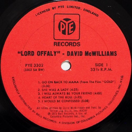 David McWilliams / Lord Offaly (US In Shrink)β