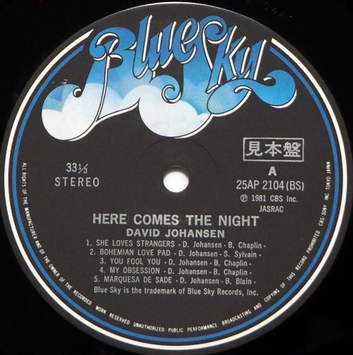 David Johansen / Here Comes The NightʵŸ ա<img class='new_mark_img2' src='https://img.shop-pro.jp/img/new/icons13.gif' style='border:none;display:inline;margin:0px;padding:0px;width:auto;' />β