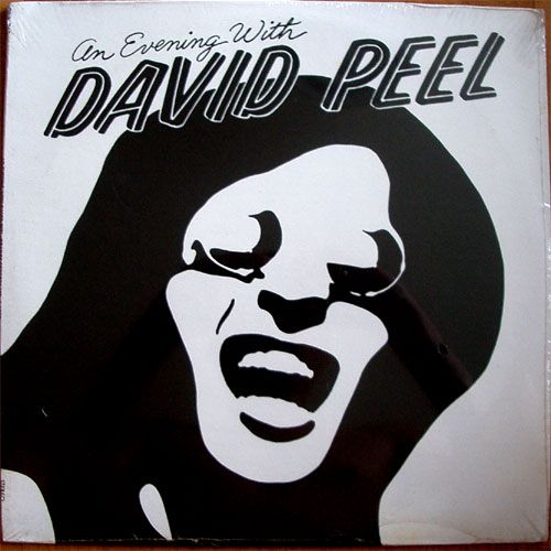 David Peel / An Evening With David Peelβ