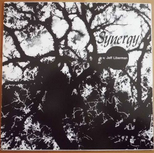 Jeffery Liberman / Synergy (Reissue)β