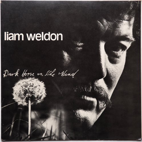 Liam Weldon / Dark Horse On The Windβ