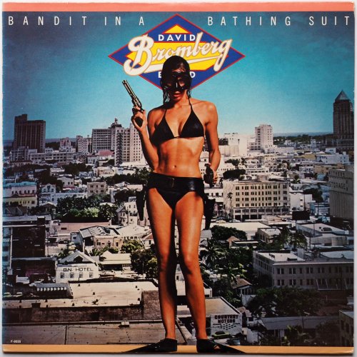David Bromberg Band / Bandit In A Bathing Suitβ