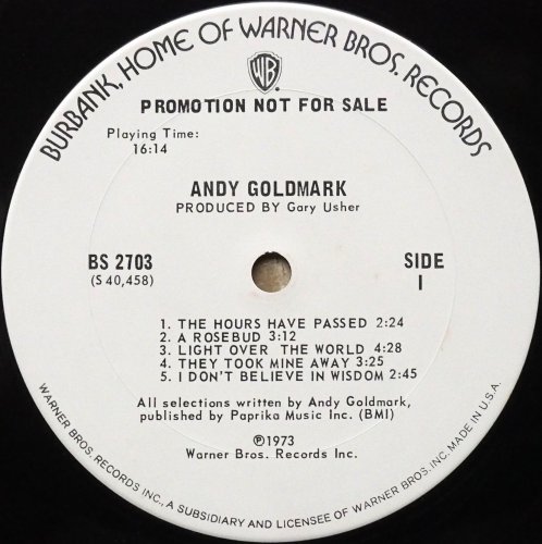 Andy Goldmark / Andy Goldmark (White Label Promo) β