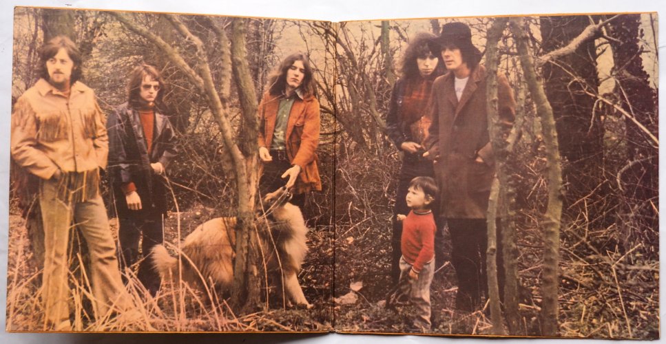 Fairport Convention / Full House (UK Pink Rim 2nd Issue)β