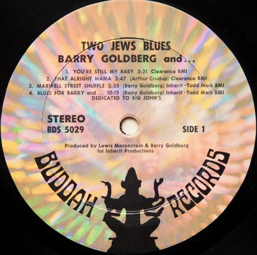 Barry Goldberg / Two Jews Bluesβ