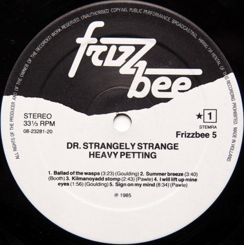 Dr. Strangely Strange / Heavy Petting (80s Reissue)β