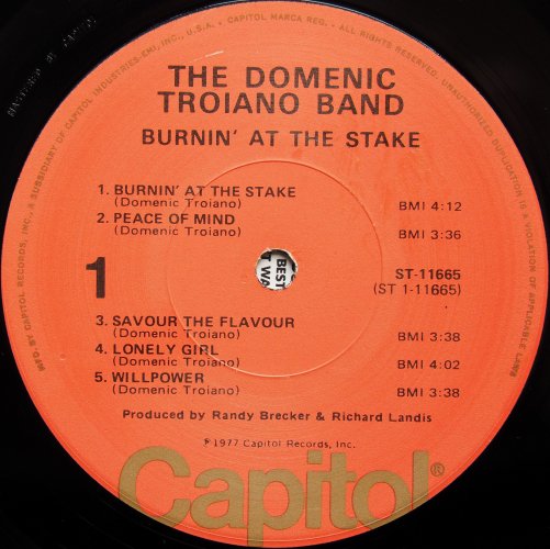 Domenic Troiano Band, The / Burnin' At The Stakeの画像