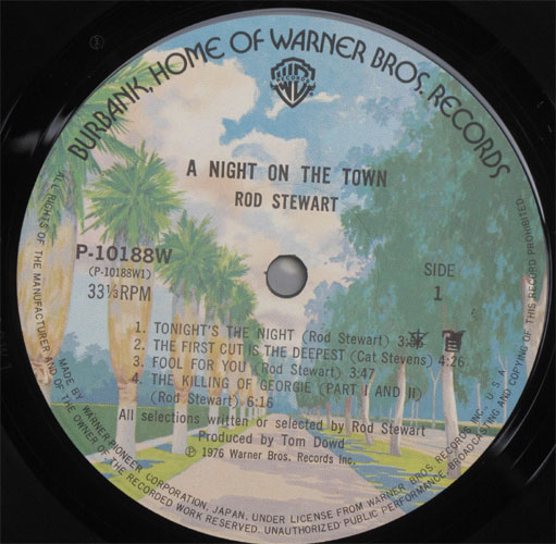 Rod Stewart / Night On The Townβ