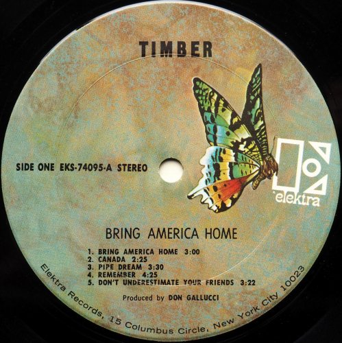 Timber (Wayne Berry) / Bring America Home (White Label Promo)β